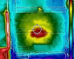 Thermal image of colony in the dead of winter.